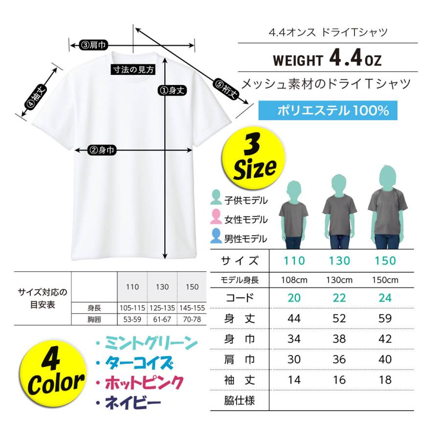 OKINAWA〜オリジナルドライ子供Tシャツ キッズ 【オキシー】 ミント