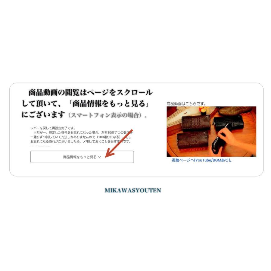 スマートセカンドバッグ GTQ6251 引き手付き クロコダイル ワニ革 メンズ 黒 並行輸入正規品 （アリゲーター・腹部位革）の画像