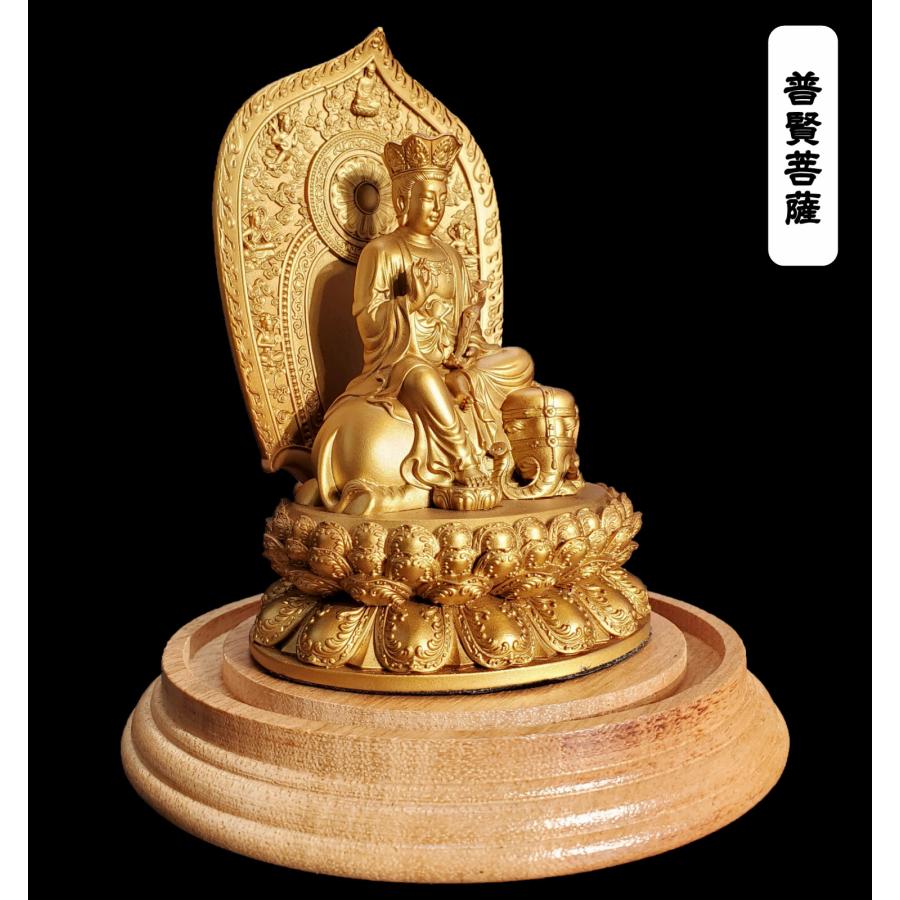 改装SP記念‼️✨お寺✨桜咲く✨瑠璃光寺✨五重の塔✨SP