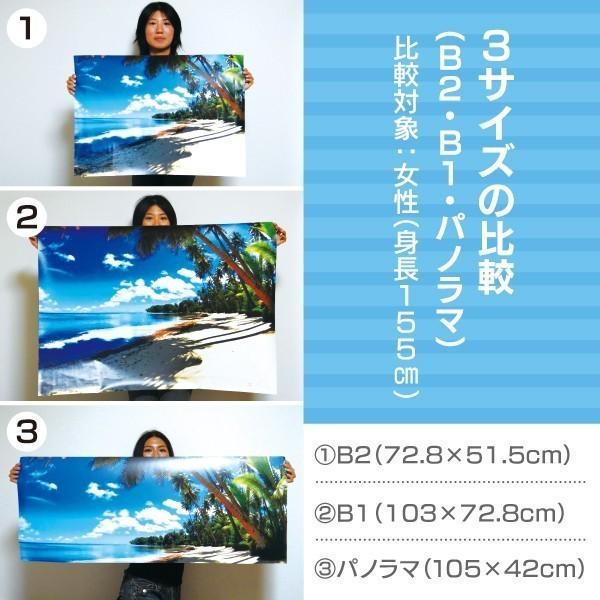 お風呂ポスター　光を浴びるイルカ B2　短期貼替タイプ（水貼素材）　防水ポスター　おふろポスター　銭湯気分｜littleoasis｜05