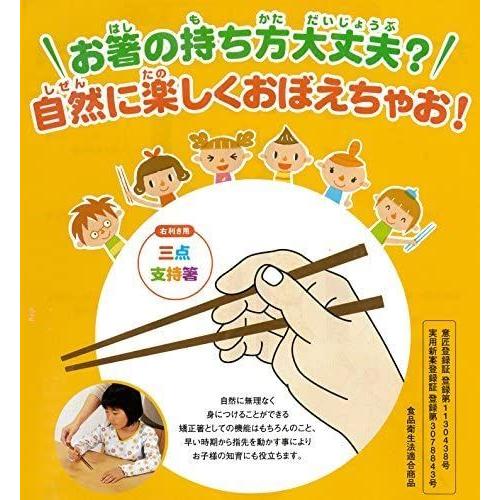 一番人気物 イシダ 子供用矯正箸 三点支持箸 右利き用 14cm Materialworldblog Com