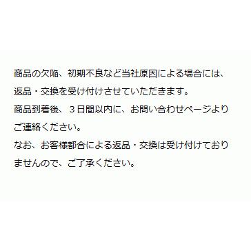 アルカリ乾電池 単6 (AAAA) 2本 業務用を小分け|littleprincess01|03