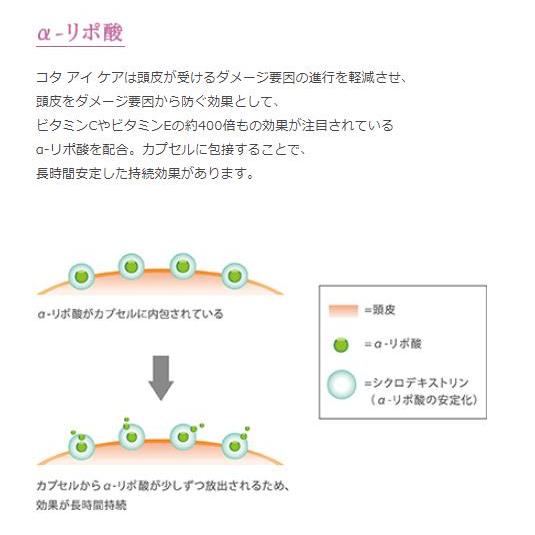 コタ アイケア COTA i CARE トリートメント7 800ｇ｜littlespring｜04