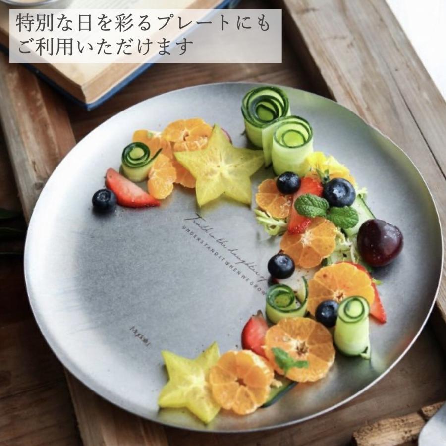 プレート皿 丸 ステンレス おしゃれ 北欧 大皿 平 デザート皿 サークル