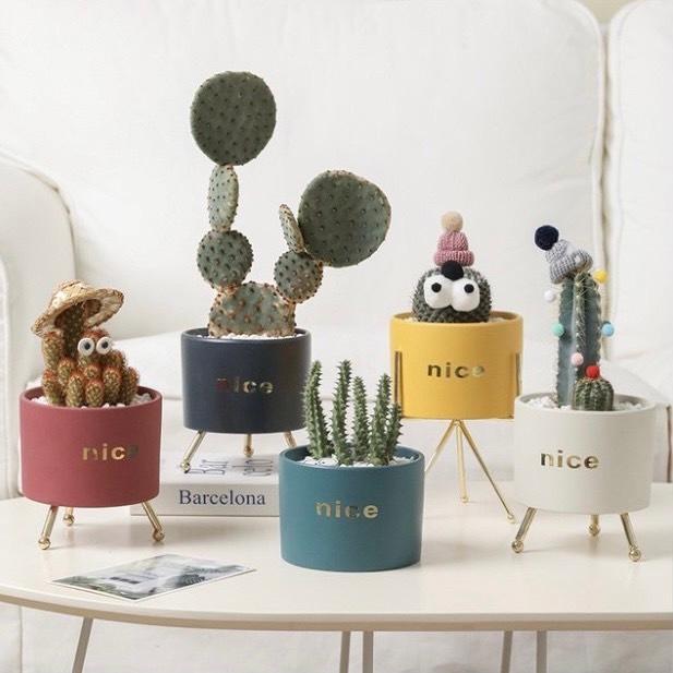 植木鉢 おしゃれ 安い 小型 北欧 陶器 花瓶 プランター 室内 屋外 インテリア雑貨 |  | 07