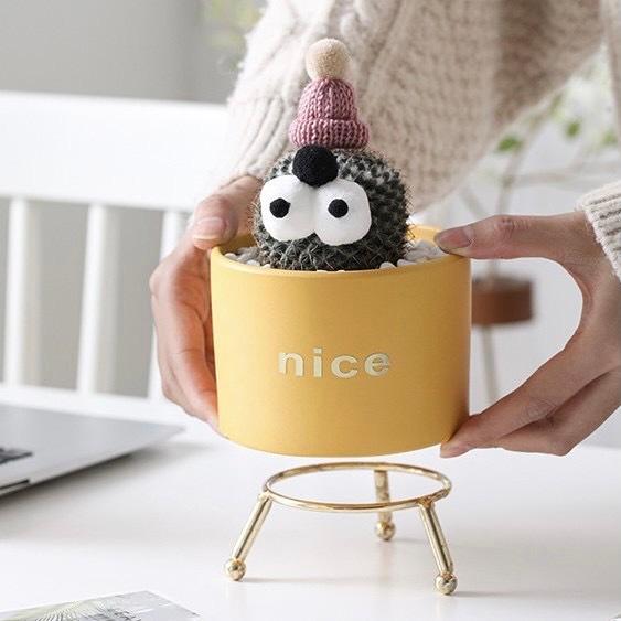 植木鉢 おしゃれ 安い 小型 北欧 陶器 花瓶 プランター 室内 屋外 インテリア雑貨 |  | 10