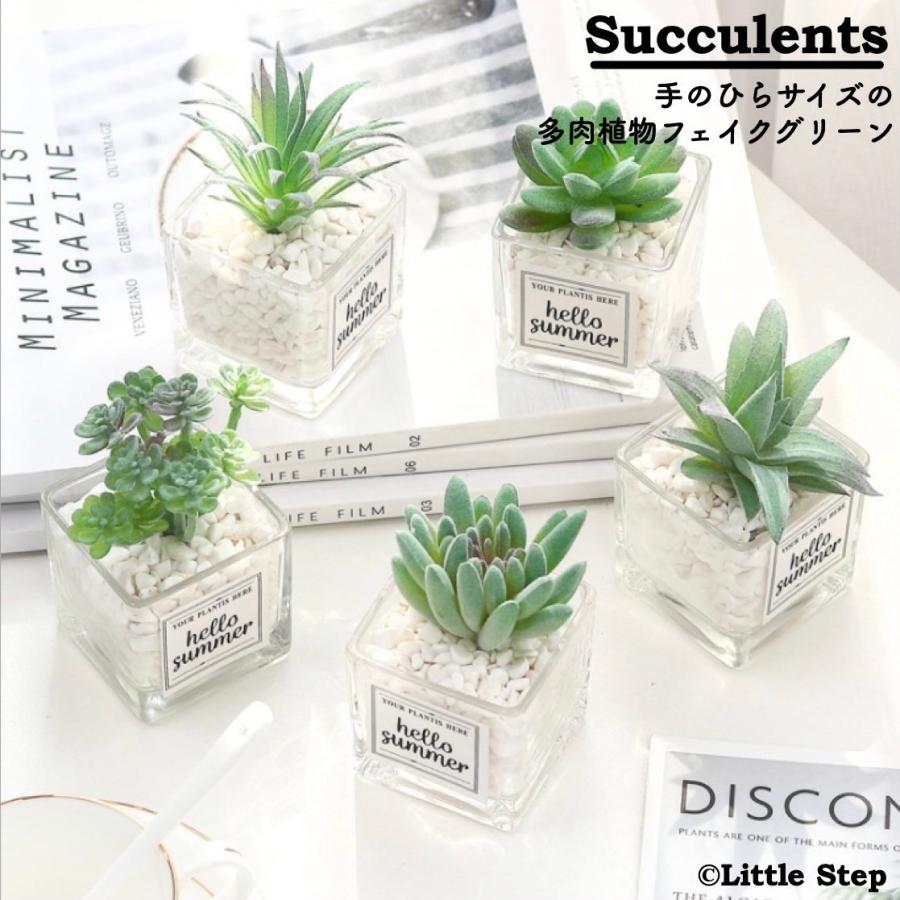 フェイクグリーン ミニ 室内 多肉植物 人工観葉植物 おしゃれ リアル 造花 ガラス容器 Int 236 リトルステップ 通販 Yahoo ショッピング