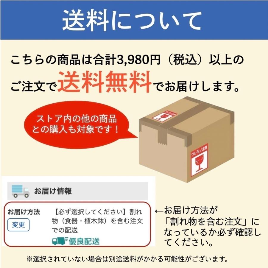 ☆国内最安値に挑戦☆ サラダボウル おしゃれ 北欧 カフェボウル 中鉢 陶器 洋食器 和食器 取り鉢 美濃焼 13cm みのる陶器 てとて tetote ☆国内最安値に挑戦☆ サラダボウル おしゃれ 北欧 カフェボウル 中鉢 陶器 洋食器 和食器 取り鉢 美濃焼 13cm みのる陶器 てとて tetote