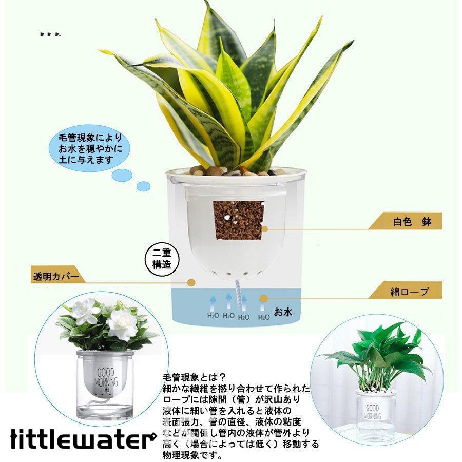 3個セット 自動給水 プランター おしゃれ 家庭菜園 水やり｜littlewater｜03