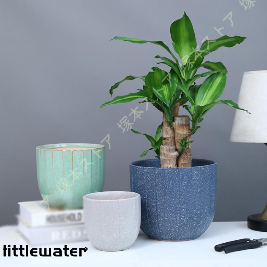 ガーデニング用の植木鉢 「セトモノとプラスチック！！」