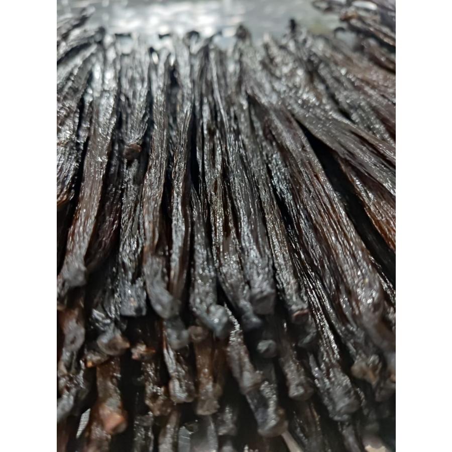 WEB通常品】バニラビーンズ タヒチ種 インドネシア産 Aグレード 250g