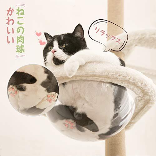 Mwpo 透明宇宙船 窓付きの透明ステップ 突っ張りタイプキャットタワー 透明ボール 透明ハンモック おうちで木? 