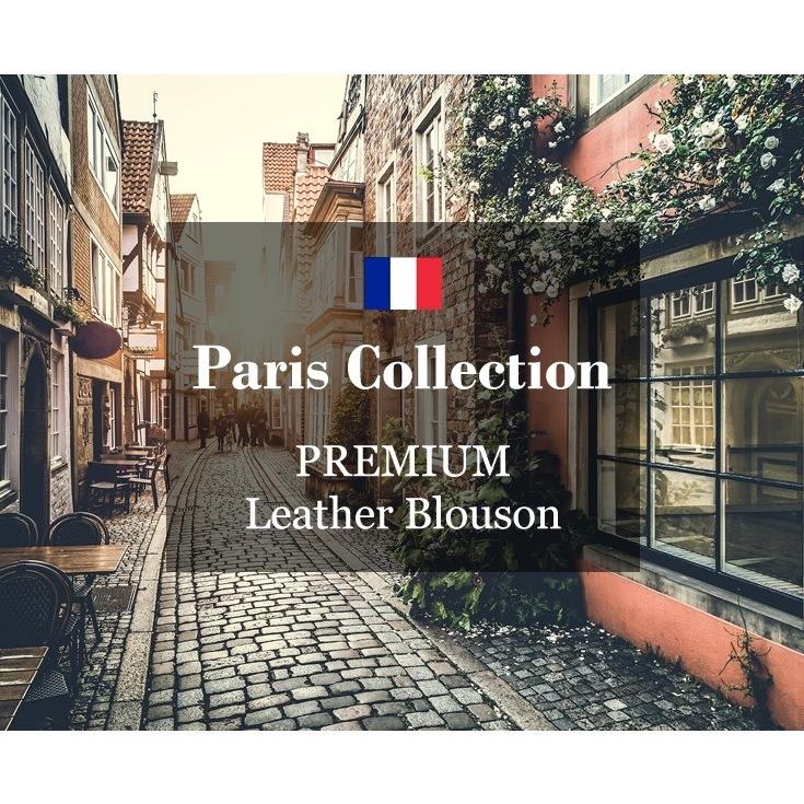 Paris Collection Brand 本革 ハイネック　レザーブルゾン メンズ パリコレクションブランド 6401  軽くて柔かい！ レザージャケット 革ジャン 皮ジャン 黒｜liugoo｜02