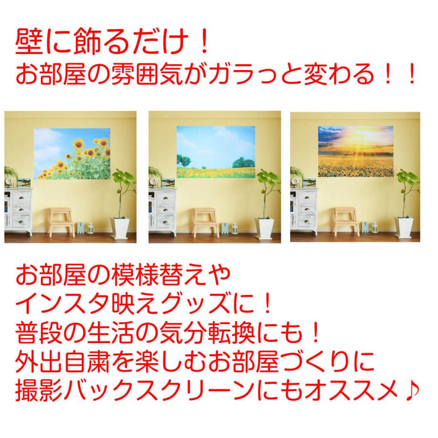 日本限定 タペストリー おしゃれ ひまわり 花 夏 フラワー 植物 太陽 夕日 夕焼け 青空 背景 インテリア リモートワーク 大きい 壁 布 目隠し Zoom 緑 Supplystudies Com