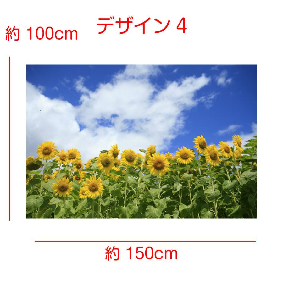 インテリア タペストリー おしゃれ ひまわり 花 夏 フラワー 植物 太陽 夕日 夕焼け 青空 背景 リモートワーク 大きい 壁 インテリア 布 目隠し Zoom Oth 081 Live On 通販 Yahoo ショッピング