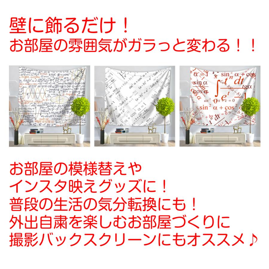タペストリー 数式 おしゃれ 微分方程式 微分積分 ガリレオ 数学者 インテリア 雑貨 ポスター 大きい インスタ映え グッズ 小物 テレワーク 背景｜live-on｜06