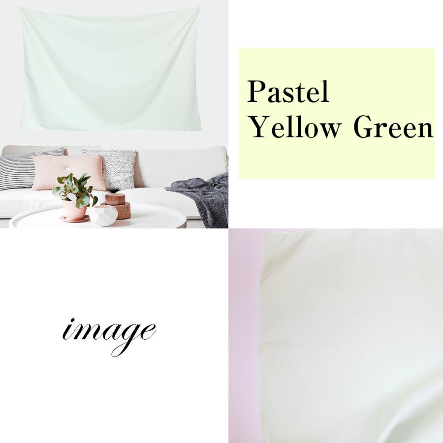 タペストリー 無地 パステルカラー ソリッド ピンク ブルー ミントグリーン イエロー 写真撮影 インテリア 雑貨 ポスター 大きい インスタ映え 背景布 Oth 1 Live On 通販 Yahoo ショッピング