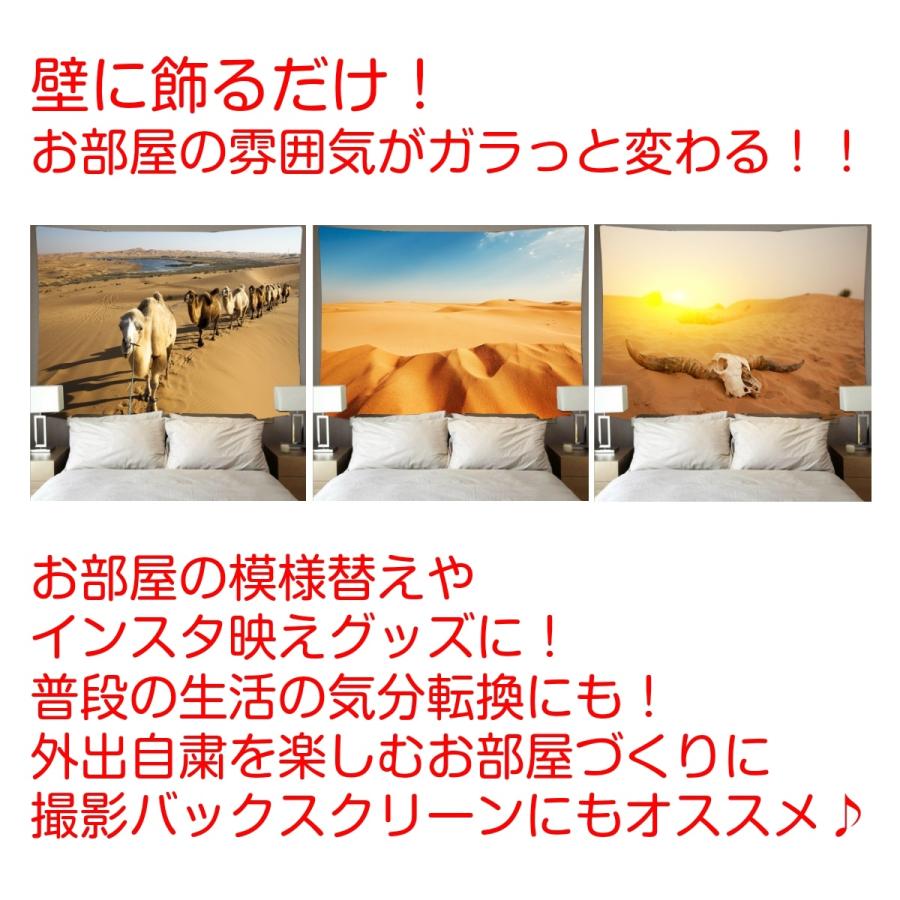 タペストリー 砂漠 荒野 らくだ 砂丘 荒地 エジプト 北欧 写真 撮影 背景 おもしろ だまし絵 インテリア おしゃれ 大判 大きい 部屋 飾り 飾り付け 壁 Oth 213 Live On 通販 Yahoo ショッピング