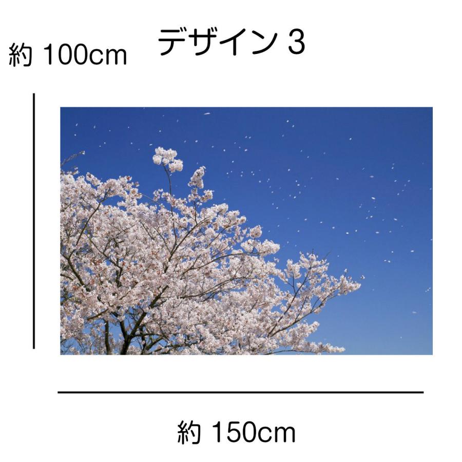 タペストリー 桜 名所 夜 インテリア 壁面 おしゃれ 風景 景色 絶景 弘前 大判 大きい 癒し 部屋 飾り付け 季節 プレゼント 背景 花びら 月光｜live-on｜12