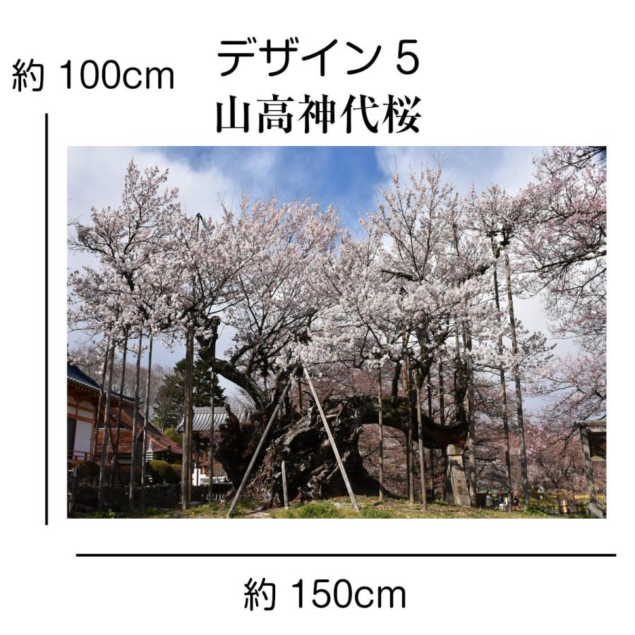 タペストリー 桜 狩宿下馬桜 三春滝桜 山高神代桜 名所 インテリア 壁面 おしゃれ 風景 景色 絶景 大判 大きい 癒し 部屋 飾り付け 季節 プレゼント Oth 290 Live On 通販 Yahoo ショッピング