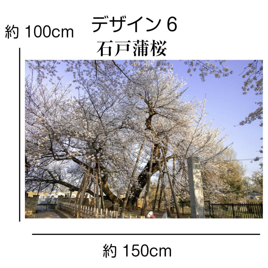 タペストリー 桜 狩宿下馬桜 三春滝桜 山高神代桜 名所 インテリア 壁面 おしゃれ 風景 景色 絶景 大判 大きい 癒し 部屋 飾り付け 季節 プレゼント Oth 290 Live On 通販 Yahoo ショッピング