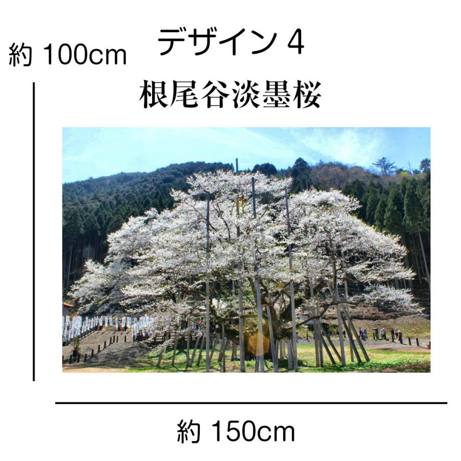 タペストリー 桜 狩宿下馬桜 三春滝桜 山高神代桜 名所 インテリア 壁面 おしゃれ 風景 景色 絶景 大判 大きい 癒し 部屋 飾り付け 季節 プレゼント Oth 290 Live On 通販 Yahoo ショッピング