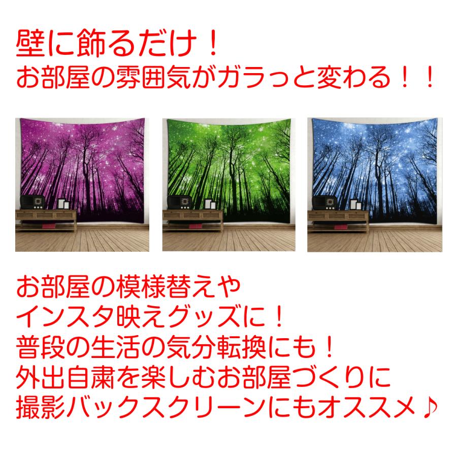 タペストリー金具付き 夜空 癒し 星空