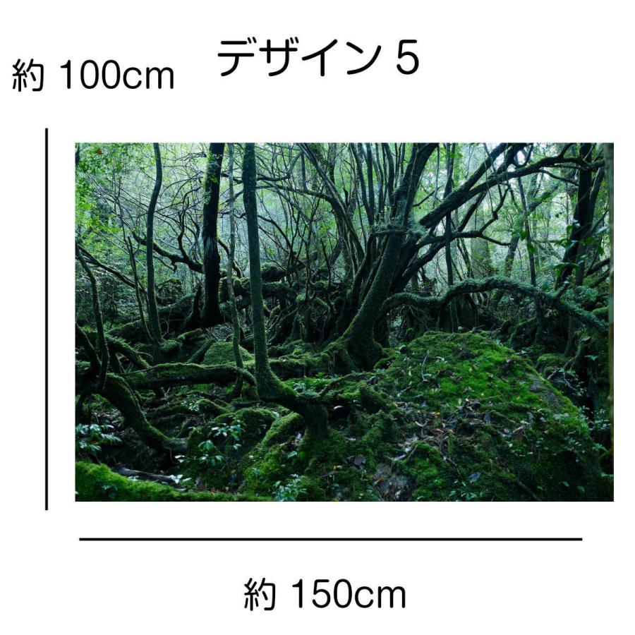 風景画「屋久杉の森」アクリル画　B3 額なし 屋久島の風景 屋久島 魅入られる幻想の森 [6] 【風景写真・ポスターアート