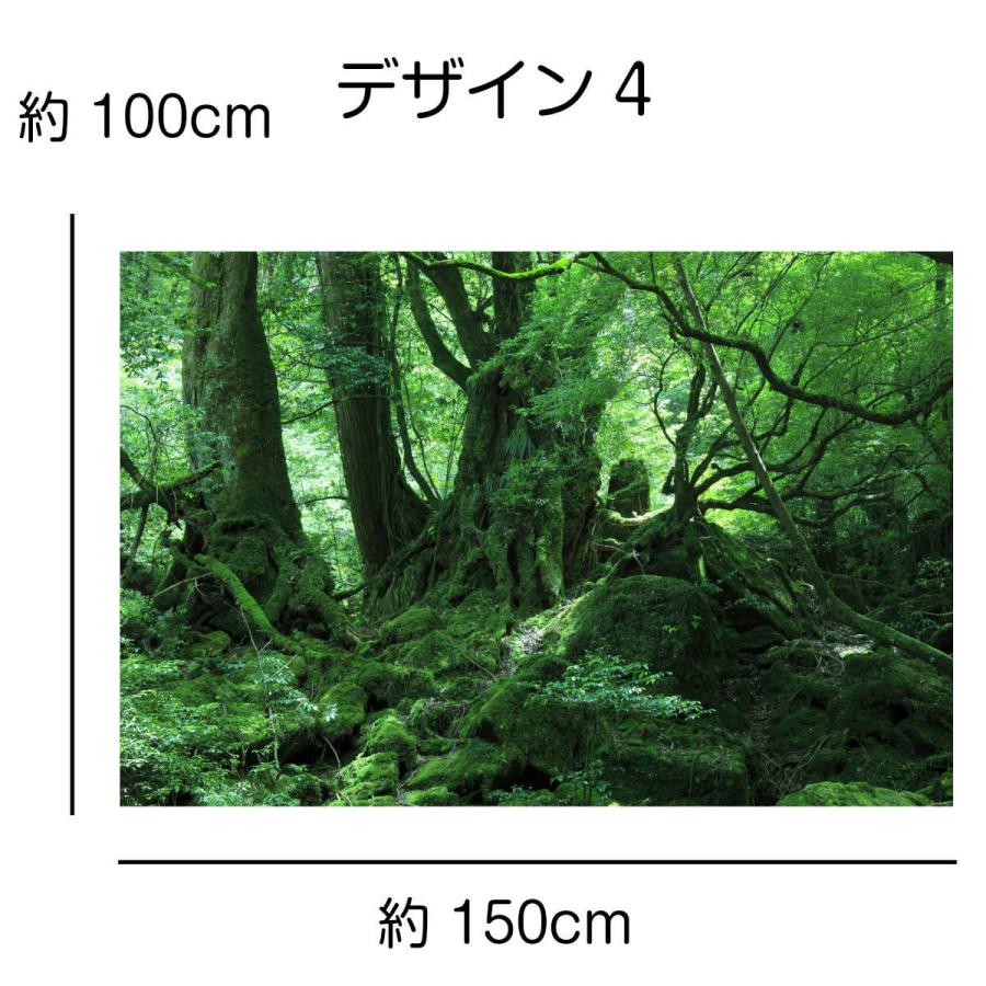 タペストリー 屋久島 世界遺産 自然 木漏れ日 屋久杉 滝  インテリア 壁面 おしゃれ だまし絵 風景 景色 絶景 大判 大きい 癒し 部屋 飾り付け｜live-on｜14