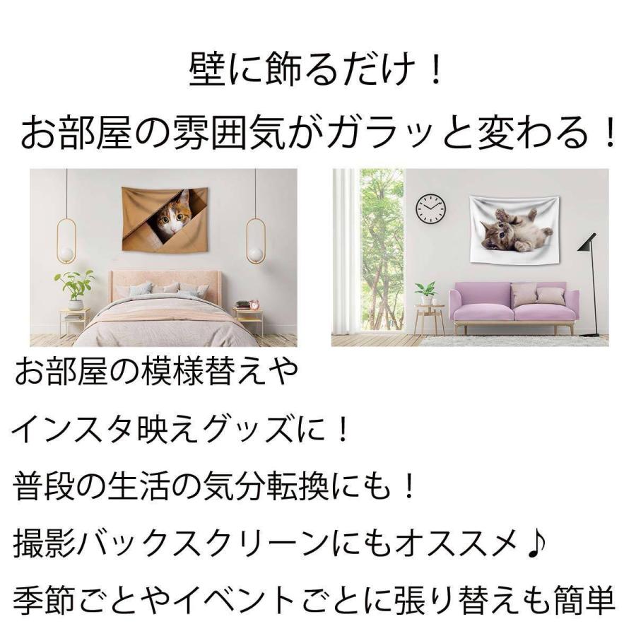 大人も着やすいシンプルファッション タペストリー 猫 子猫 動物 おしゃれ かわいい 胸キュン カフェ 大判 大きい 茶 肉球 ポスター インテリア 目隠し 布 部屋 飾り 飾り付け 景色 ペット Supplystudies Com