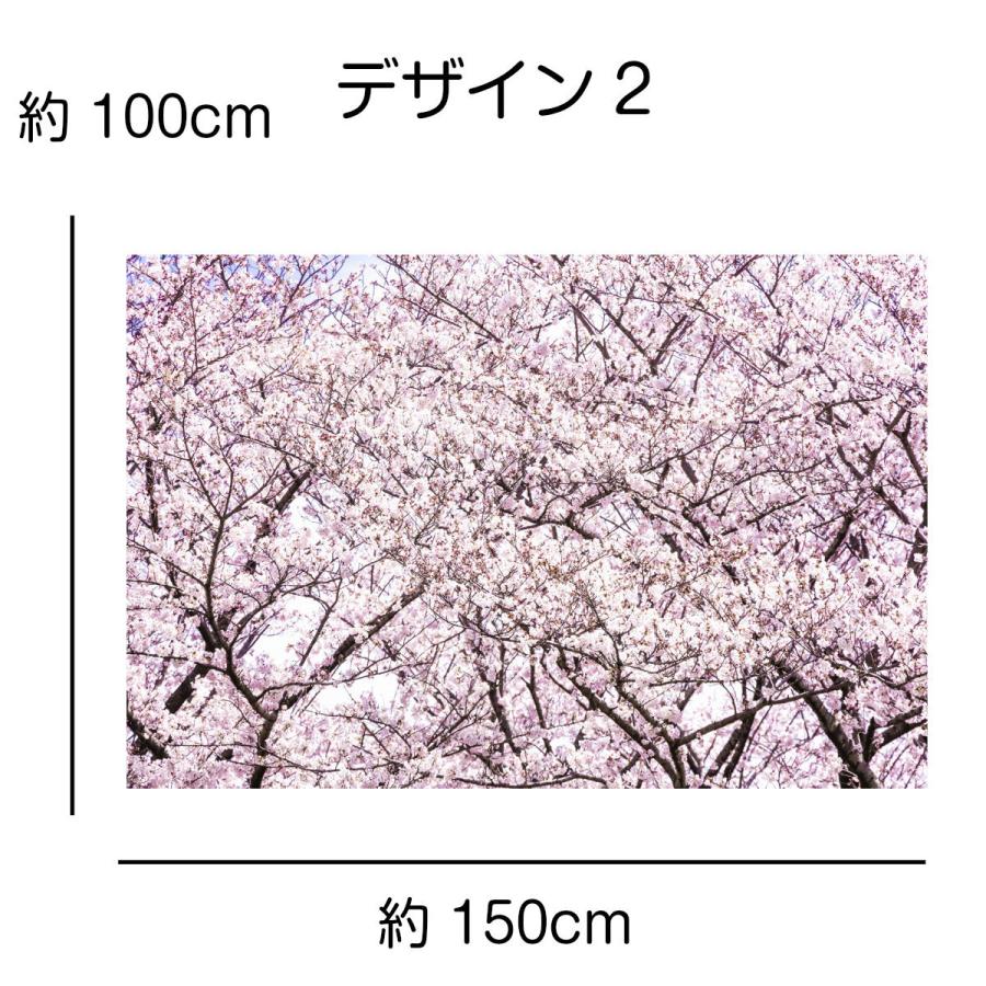 タペストリー 桜 河津桜 インテリア 春 おしゃれ 風景 景色 絶景 大判 大きい 癒し 部屋 飾り付け 季節 ポスター 背景布｜live-on｜10