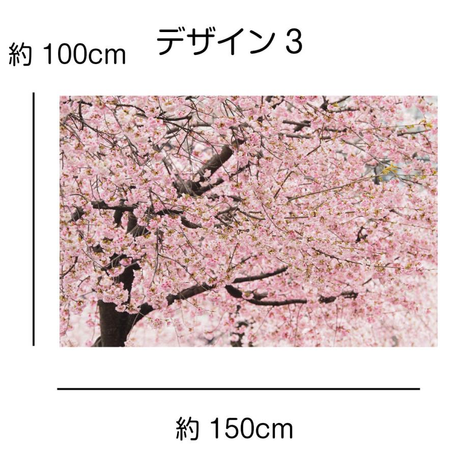 タペストリー 桜 河津桜 インテリア 春 おしゃれ 風景 景色 絶景 大判 大きい 癒し 部屋 飾り付け 季節 ポスター オンライン飲み会 背景布 Oth 334 Live On 通販 Yahoo ショッピング