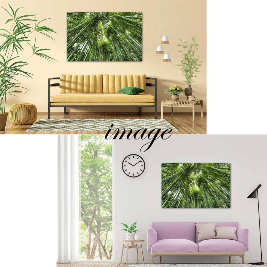 タペストリー 竹林 竹 笹 和風 和モダン 京都 嵐山 世界遺産 自然 木漏れ日 インテリア 壁面 おしゃれ だまし絵 風景 景色 絶景 大判 大きい 癒し 部屋 飾り付け Oth 421 Live On 通販 Yahoo ショッピング