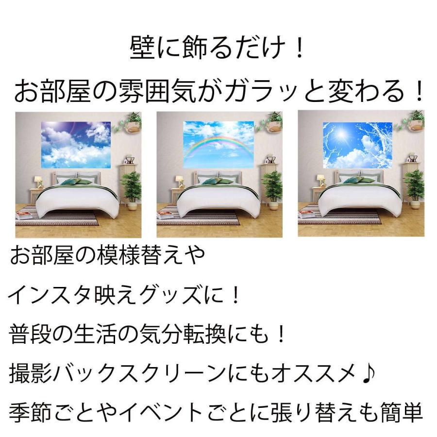 春の新作続々 タペストリー 特大 ビックサイズ おしゃれ 雲 入道雲 太陽 虹 朝日 青空 レインボー ポスター テレワーク 背景 インテリア 動画撮影 Wantannas Go Id