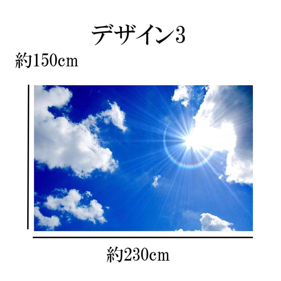 タペストリー 特大 ビックサイズ おしゃれ 雲 入道雲 太陽 虹 朝日 青空 レインボー ポスター テレワーク 背景 インテリア 動画撮影 タペストリー 戦国武将 伊達政宗 家紋 花押 辞世の句 刺繍 和風 壁掛け 壁飾り 掛け軸 タペストリー グッズ