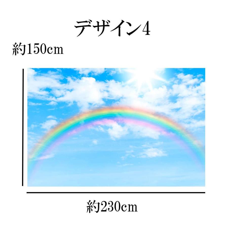 タペストリー 特大 ビックサイズ おしゃれ 雲 入道雲 太陽 虹 朝日 青空 レインボー ポスター テレワーク 背景 インテリア 動画撮影 Oth 448 Live On 通販 Yahoo ショッピング