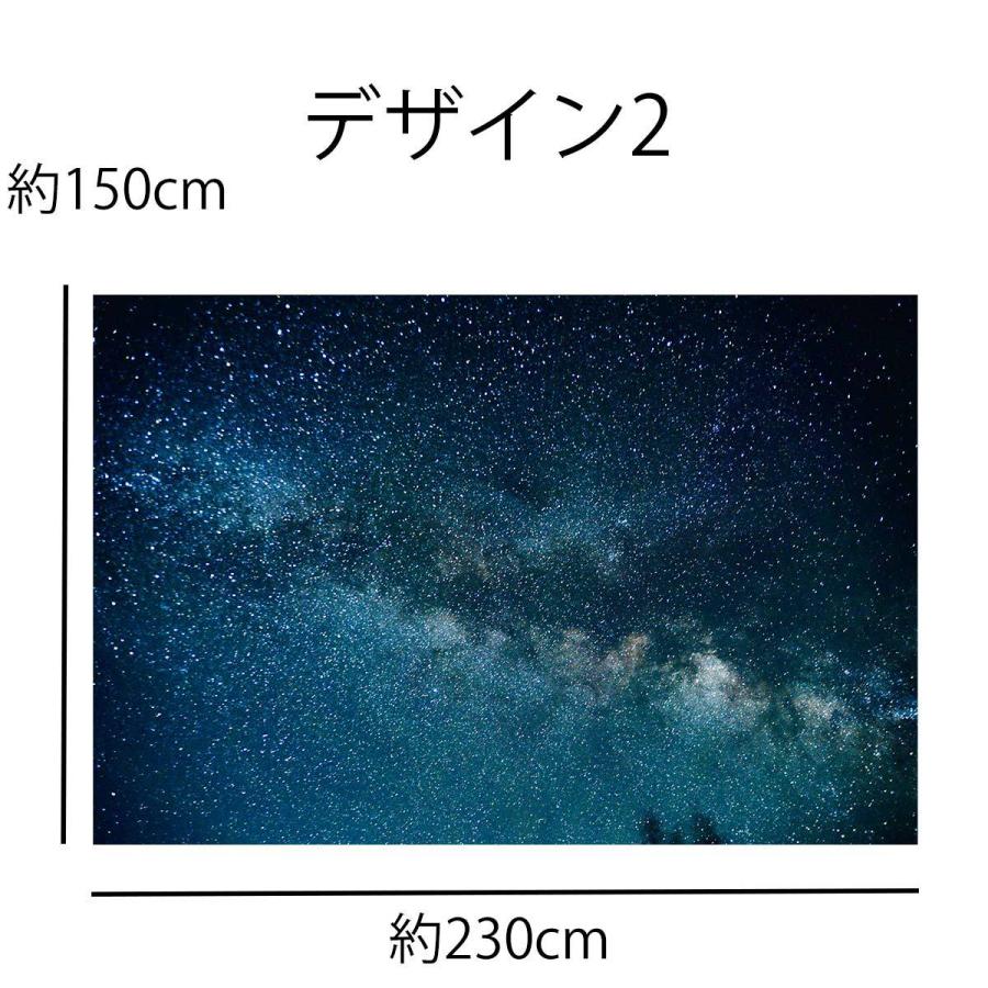 タペストリー 特大 230×150cm 星空 夜空 宇宙 流星 星座 癒し おしゃれ