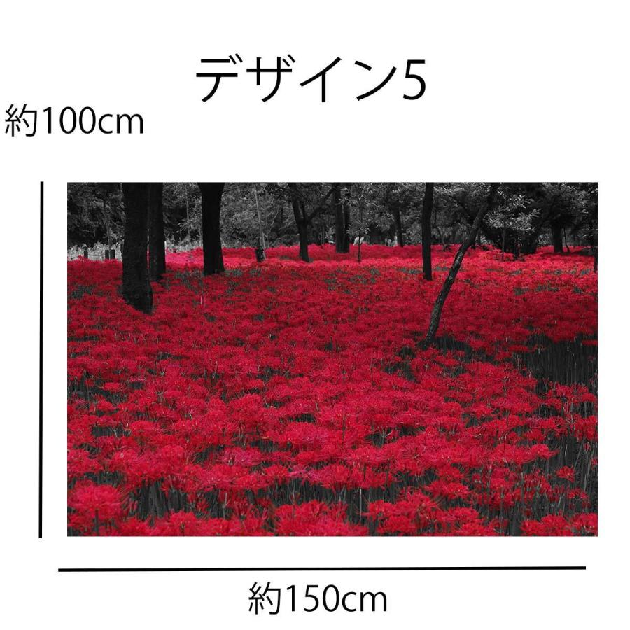 タペストリー コスモス キンモクセイ 彼岸花 ヒガンバナ 秋の花 鰯雲 青空 風景 植物 写真 大きい 壁 インテリア 布 目隠し ファブリックポスター 背景 Oth 472 Live On 通販 Yahoo ショッピング
