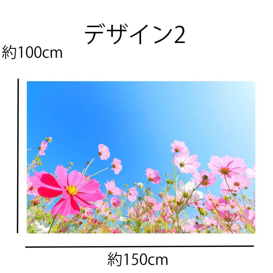 タペストリー コスモス キンモクセイ 彼岸花 ヒガンバナ 秋の花 鰯雲 青空 風景 植物 写真 大きい 壁 インテリア 布 目隠し ファブリックポスター 背景 Oth 472 Live On 通販 Yahoo ショッピング