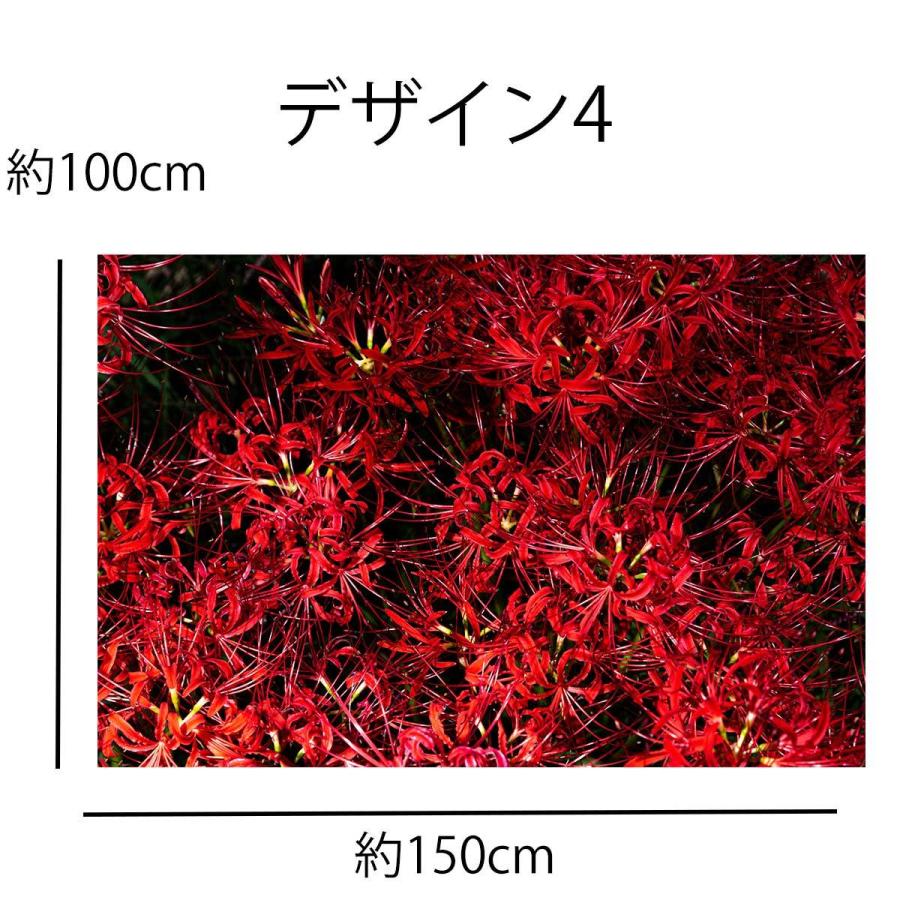 タペストリー コスモス キンモクセイ 彼岸花 ヒガンバナ 秋の花