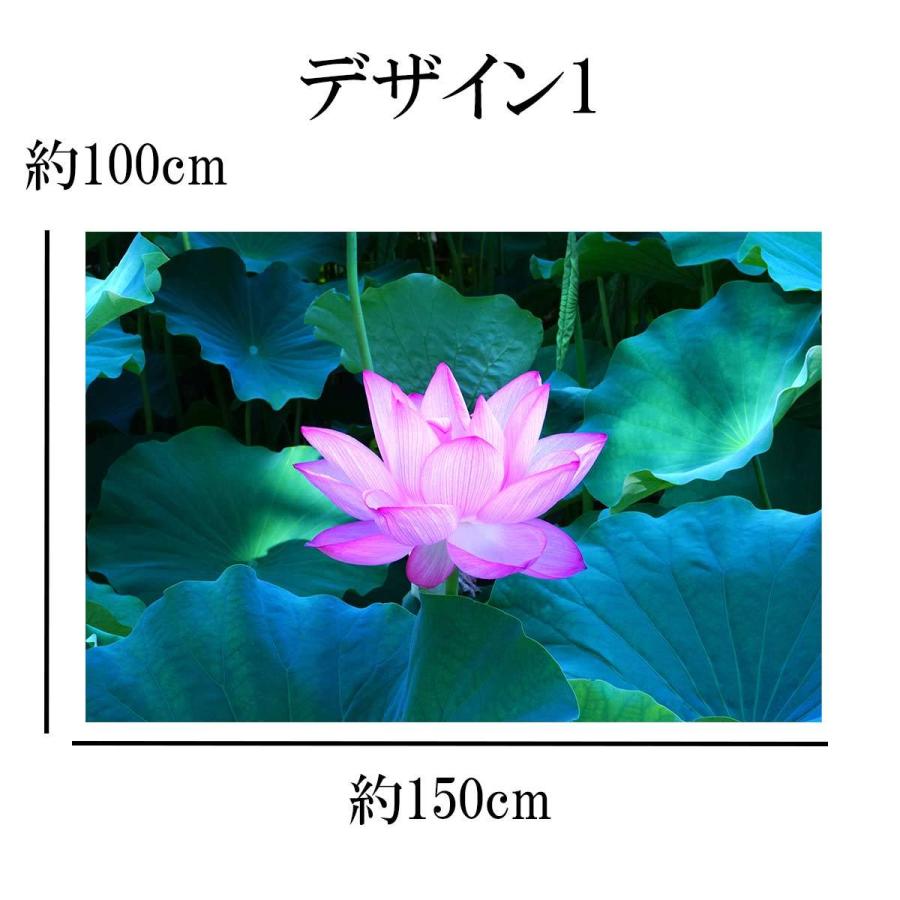 タペストリー 蓮 花 蓮根 フラワー ピンク 白 畑 水 夏 朝 お盆 壁面
