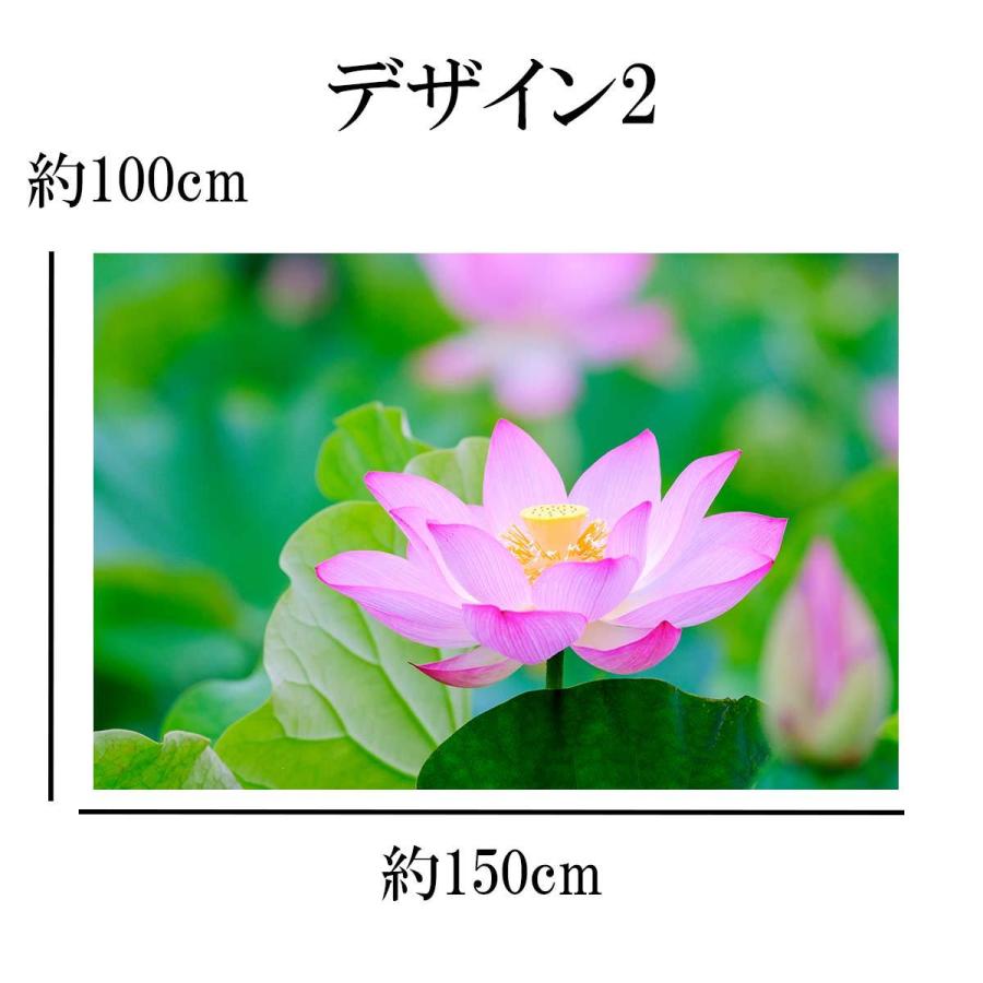 タペストリー 蓮 花 蓮根 フラワー ピンク 白 畑 水 夏 朝 お盆 壁面