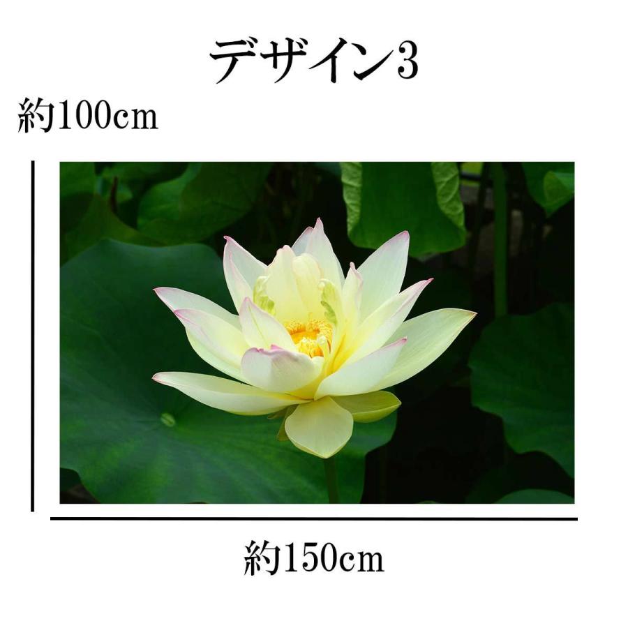 タペストリー 蓮 花 蓮根 フラワー ピンク 白 畑 水 夏 朝 お盆 壁面