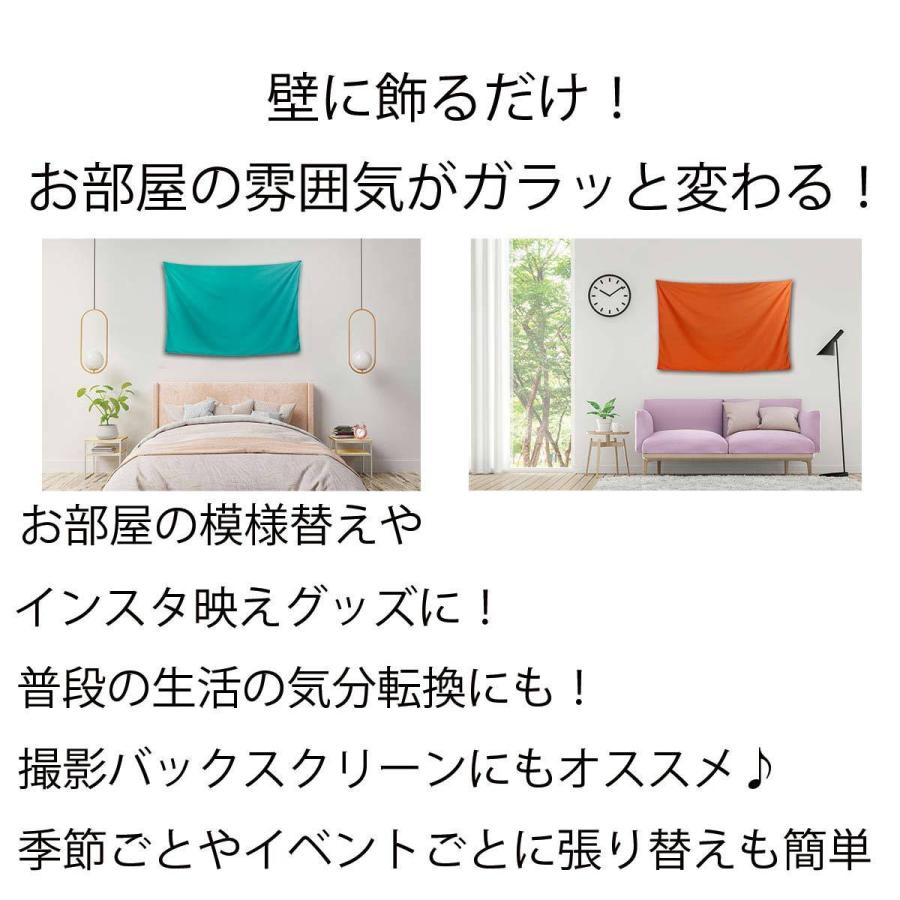タペストリー 無地 背景布 ブルー 出色 レッド グリーン オレンジ 写真撮影 インテリア ポスター 大きい 会議 インスタ映え テレワーク 小物 動画配信 グッズ
