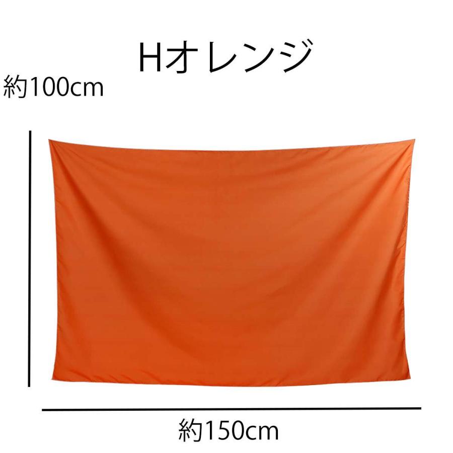 タペストリー 無地 背景布 ブルー 出色 レッド グリーン オレンジ 写真撮影 インテリア ポスター 大きい 会議 インスタ映え テレワーク 小物 動画配信 グッズ