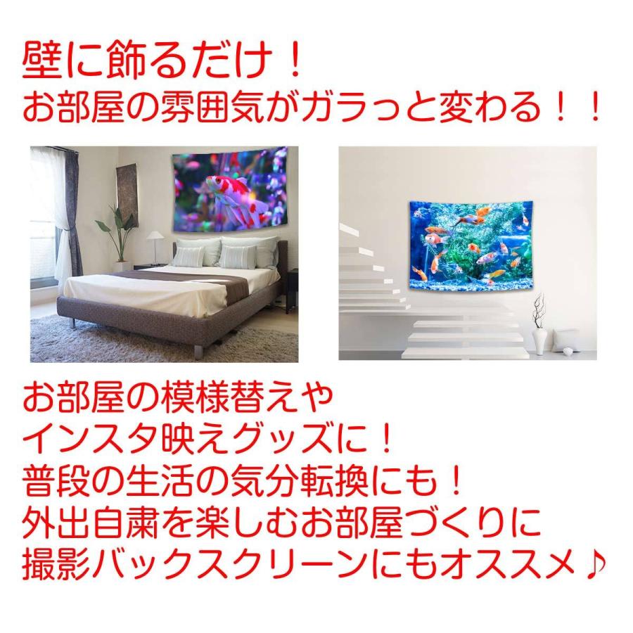 タペストリー金魚 魚 金魚すくい 金魚鉢 水族館 アクアリウム ペット