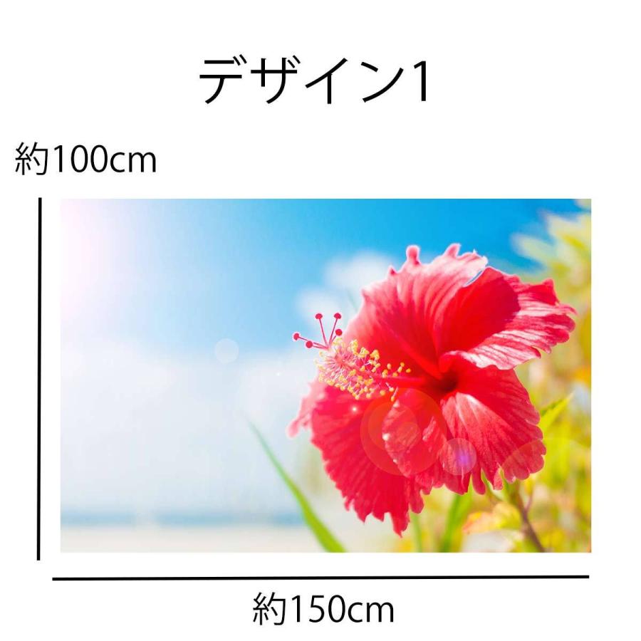 タペストリー 沖縄 海 ビーチ 古宇利大橋 ハイビスカス シーサー 三味線 景色 夏 太陽 橋 旅行 離島 テレワーク 背景 リモート 布 大きい 壁 インテリア 目隠し Oth 557 Live On 通販 Yahoo ショッピング