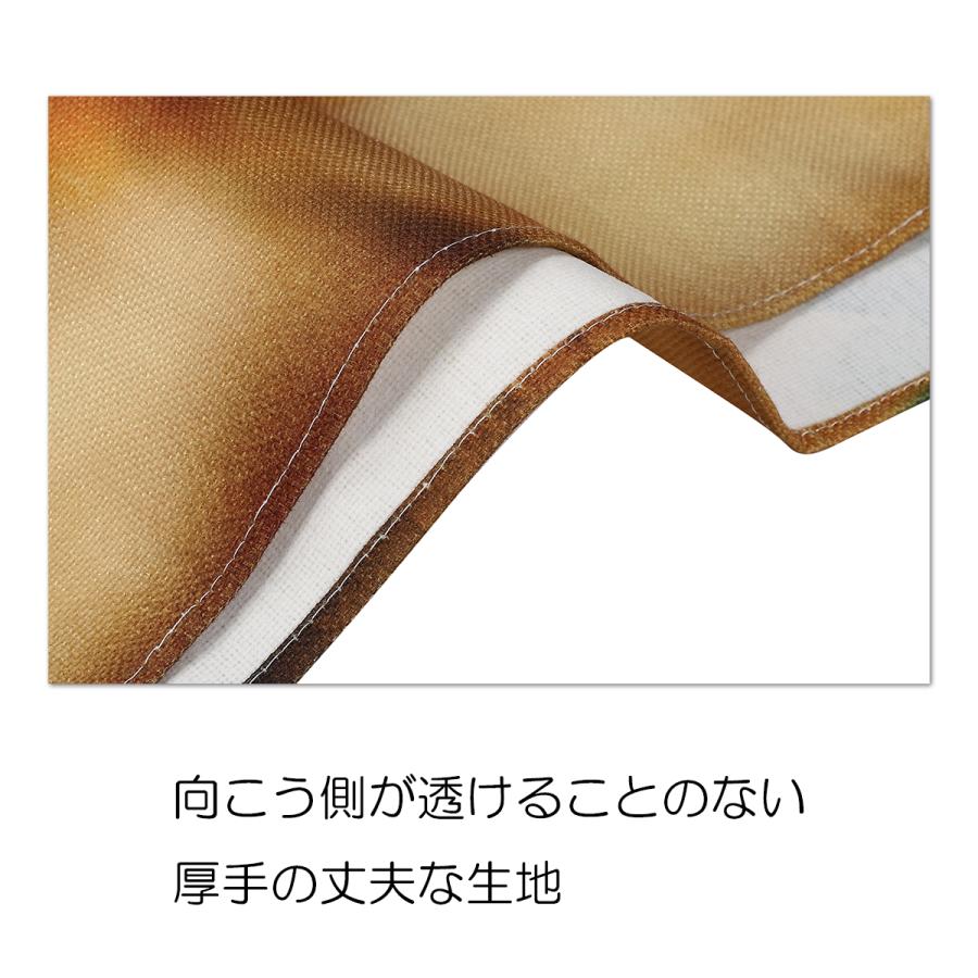 のれん 暖簾 ロング丈 180cm ダミー 木 扉 ファンタジー ドア フェイク