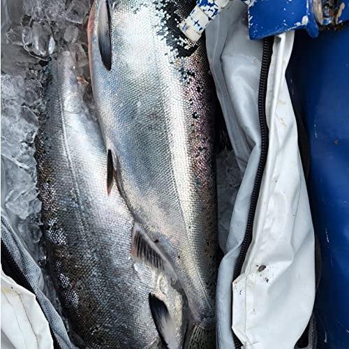 Buffalo Gear(バッファローギア) 絶縁釣り用クーラーバッグ、180×30.5×76cm 保冷バッグ 大容量、防水マグロバッグ漏れ防止フィッシングクーラー 、冷たい24時 アウトドア、釣り、旅行用品 アウトドア、キャンプ、登山 アウトドアウエア