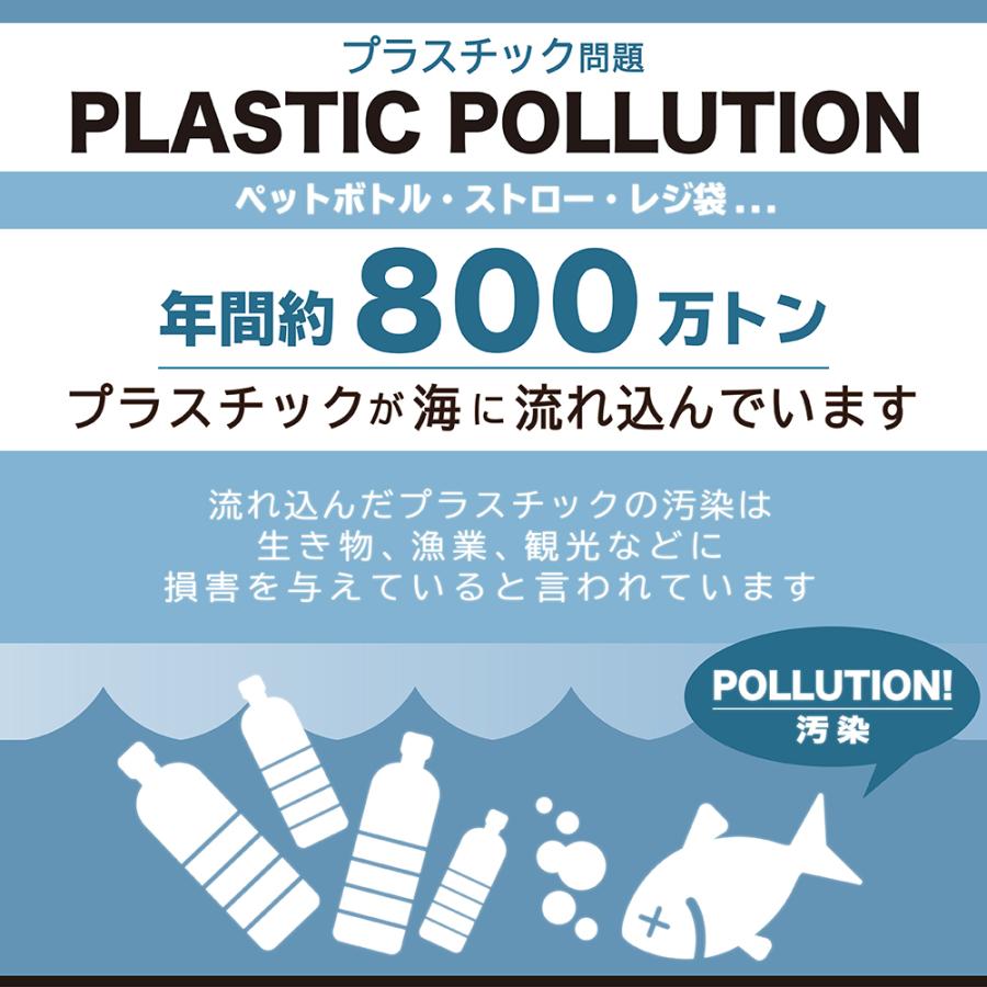 Zipbag 食品 タッパー ジップロック 保存容器 再利用 エコ Bpaフリー ランチバッグ スポーク付 中サイズ Yh2105 M Livecare 通販 Yahoo ショッピング